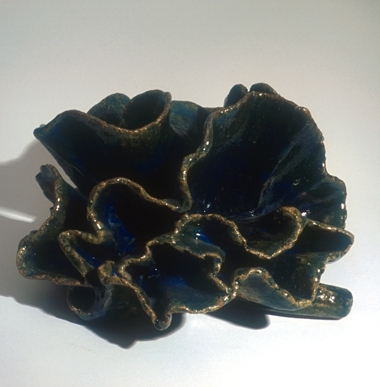 Sea Sponge