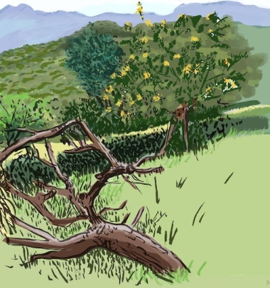 Annapoima I