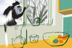 Colobus In the Kitchen