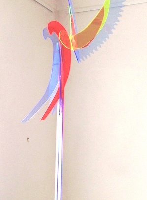 Macaw II